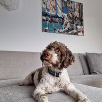 Frizzi (Private Commission)